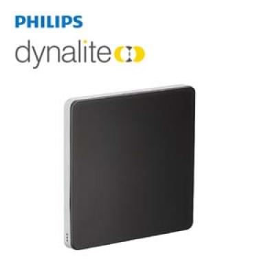 PHILIPS Dynalite Antumbra Button Control Panel PA2BPE-WA-L 913703035409