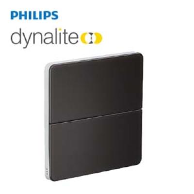 PHILIPS Dynalite Antumbra Button Control Panel PA4BLE-AA-X 913703053809
